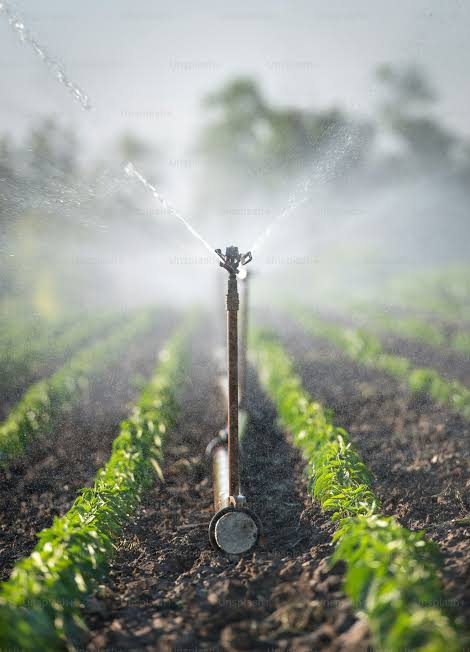 Portable irrigation line working in the field